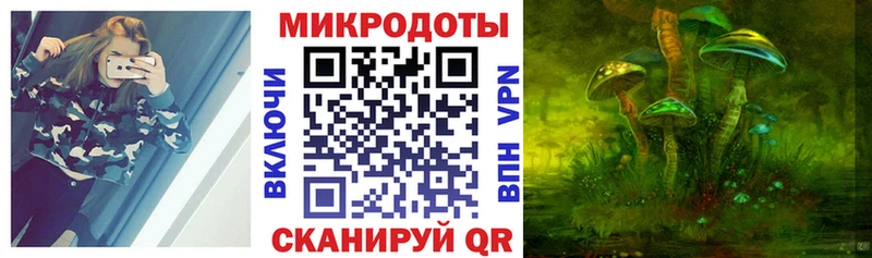 мега как войти  Черняховск  Псилоцибиновые грибы GOLDEN TEACHER  что такое  